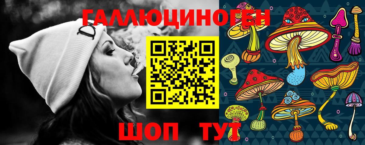 купить наркотик  Псилоцибиновые грибы MAGIC MUSHROOMS  Галлюциногенные грибы прущие грибы  Вход с VPN  Ртищево 