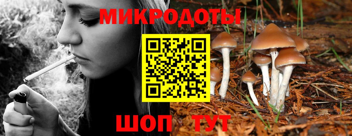Галлюциногенные грибы прущие грибы Ртищево